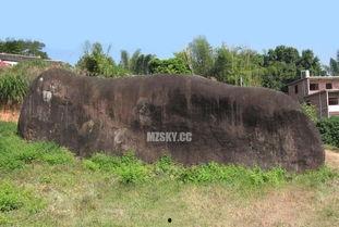 梅州兴宁爆料事件最新情况,最新进展与调查情况揭晓