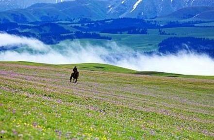 新疆景区爆料事件最新,揭秘背后真相与游客权益保护挑战