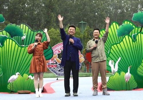 爆料睢宁古墓视频最新,神秘历史宝藏重现世间