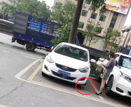 广东爆料佛山锁车视频